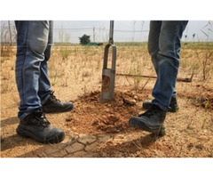Detailed Site Investigation NSW