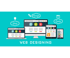 Web Designing Service in Ambala, Haryana - 2