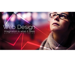 Web Designing Service in Ambala, Haryana - 3