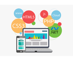 Web Designing Service in Ambala, Haryana - 4