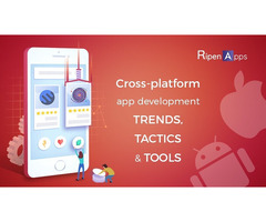 Best Cross Platform Mobile App Development Company