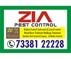 Blr Pest Control service | Anti Termite Treatment