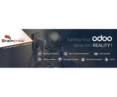 Best Odoo development and customization services