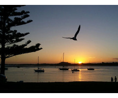 World'S Love Motels In Manukau, Auckland