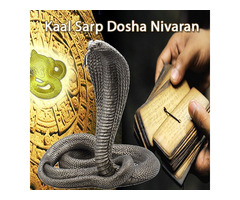 Perform Kalsarp Dosh Puja Nivaran Online at Astro Mahakal