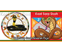 Get Best Kalsarp Dosh Puja Nivaran by Pandit Acharya Ji