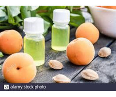 The Apricot Kernel Oil manufacturers - 3