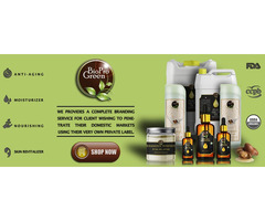 Argan Tree Seeds Argan Tree Seeds