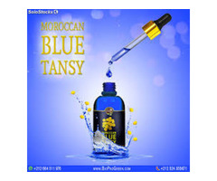 1. Moroccan blue tansy essential oil company