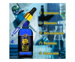 1. Moroccan blue tansy essential oil company - 4