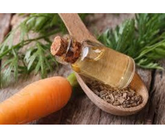 Carrot Essential Oil distributors
