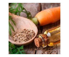 Carrot Essential Oil distributors - 3