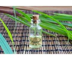the Citronella  Essential Oil distributors - 2