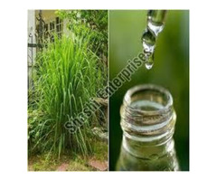 the Citronella  Essential Oil distributors - 4