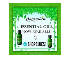 Buy Pure and Natural Spice Oils