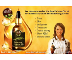 Rosemary essential oil wholesale supplier - 2