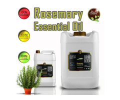 Rosemary essential oil wholesale supplier - 3