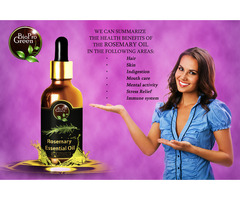 Rosemary essential oil wholesale supplier - 4