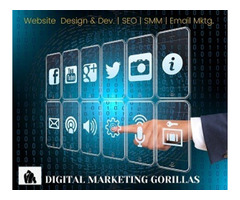 Online Reputation Management Services Company in Chicago