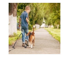 EntirelyPets For Your Fur Friends
