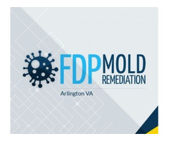 FDP Mold Remediation | Mold Remediation Arlington