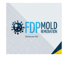 FDP Mold Remediation | Mold Remediation Bethesda