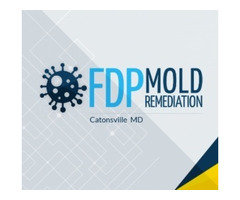 FDP Mold Remediation | Mold Remediation Catonsville