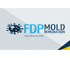 FDP Mold Remediation - Glen Burnie