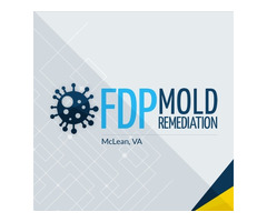 FDP Mold Remediation - McLean VA