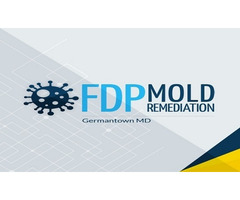 FDP Mold Remediation - Germantown MD