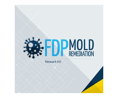 FDP Mold Remediation - Newark NJ