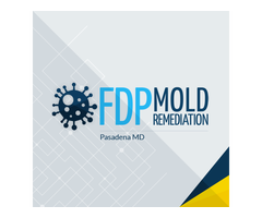 FDP Mold Remediation - Pasadena MD