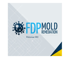 FDP Mold Remediation - Potomac