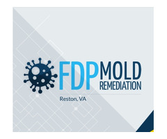 FDP Mold Remediation - Reston VA