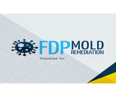 FDP Mold Remediation - Plainfield NJ