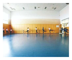 Matt Finish Dance Floor Factory