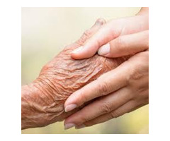 Karmabhumi Top Elder Caretaker Services