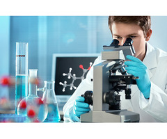 Hospital Biosafety Level Services