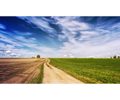 Profitable Land in Arizona That Fits in Your Budget - 3