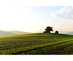 Land buying Opportunity in Arizona at Best Price - 3