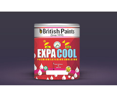 British Paints White Reflective Roof Paint - 2