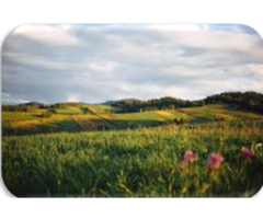 Land Buying Opportunities with Instant Equity in Oregon