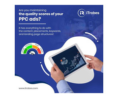 Professional Pay Per Click Company - iTrobes