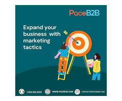 B2B Marketing Service -PaceB2B