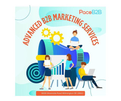 B2B Marketing Service -PaceB2B - 2