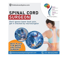 Spinal Cord Tumor Treatment In Delhi Thebrainnadspine