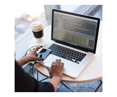 Get Profesional Web Development Services | Trigma