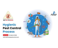 Pest Control Services in Chennai – Aavinashpestcontrol