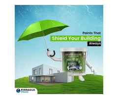 Make Your Enterprise Safe By Choosing Natural Paints