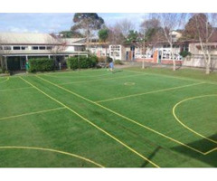 Artificial Grass Lawn Auckland - 2